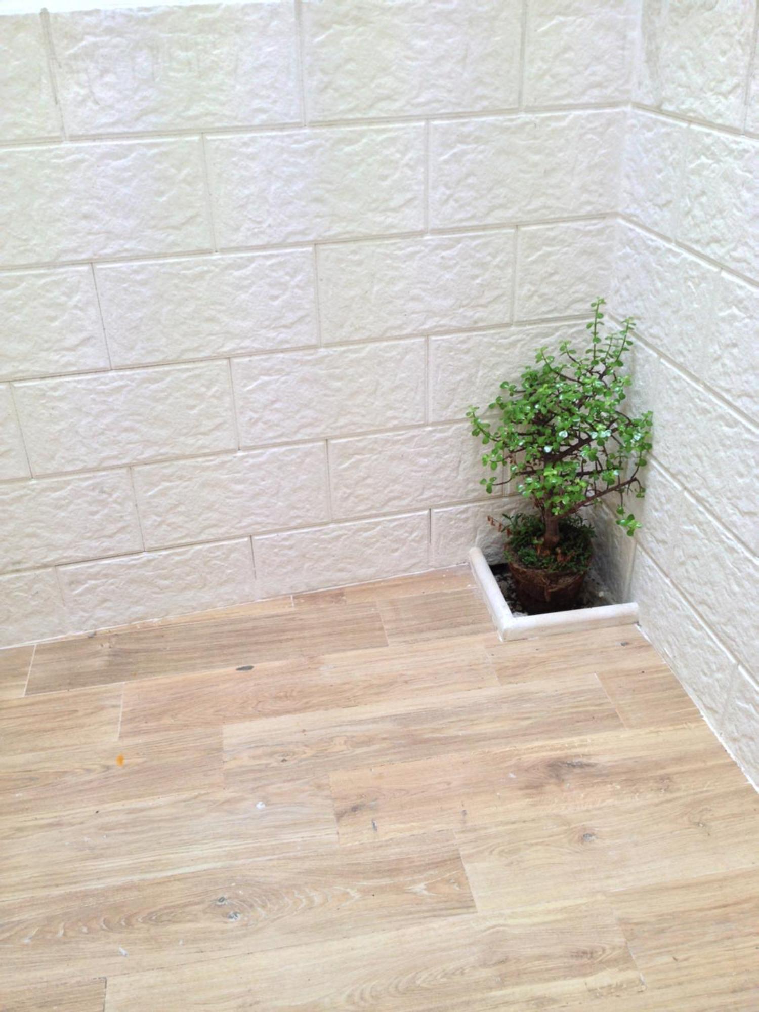 Casa Petra - Mini Open Space Daire Brindisi Dış mekan fotoğraf